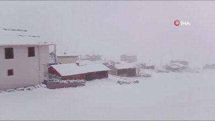Trabzon haberi: Trabzon'un yaylaları beyaz örtüyle kaplandı