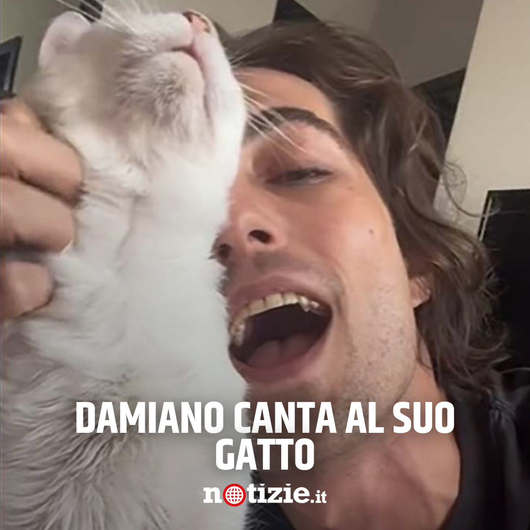 Video Il dolcissimo video su TikTok: Damiano canta al suo gatto