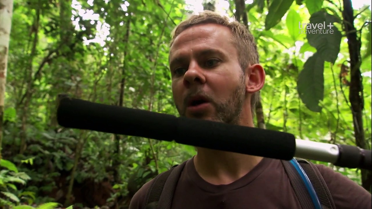 Wild Things with Dominic Monaghan - Lemur Leaf Frog