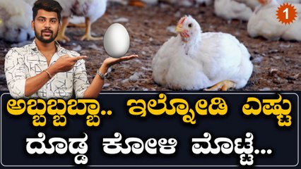 Kolhapur jumbo Egg : ಇದು ದೇಶದ ಅತಿದೊಡ್ಡ ಮತ್ತು ತೂಕದ ಮೊಟ್ಟೆ Maha Jumbo