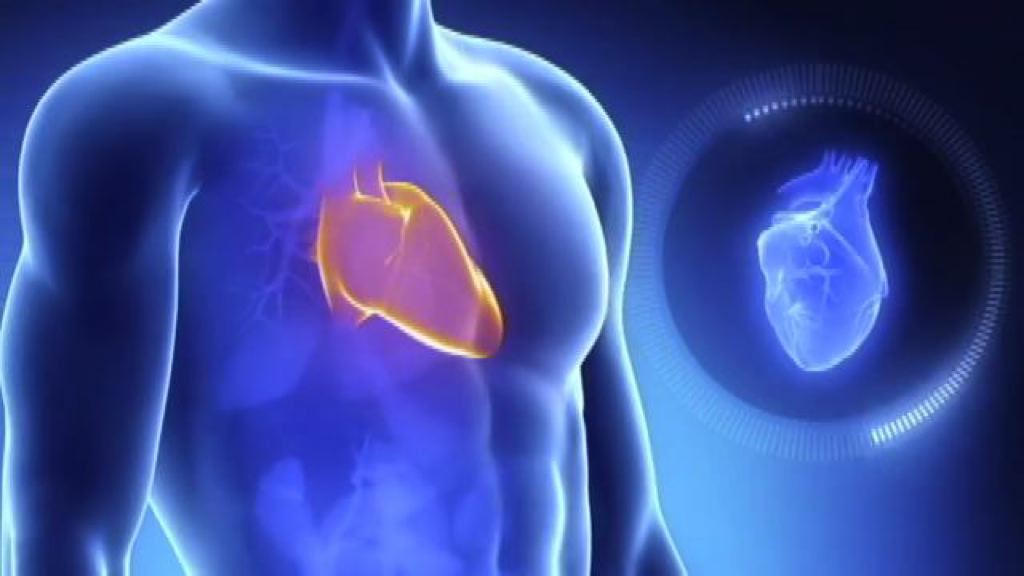 Video Scompenso Cardiaco, migliorare presa in carico e accesso a cure