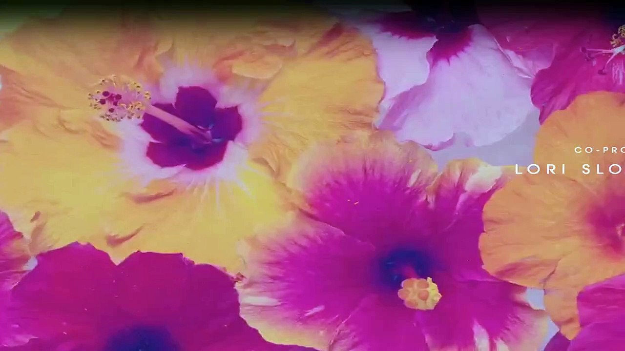 Nine Perfect Strangers Staffel 1 Folge 5 HD Deutsch