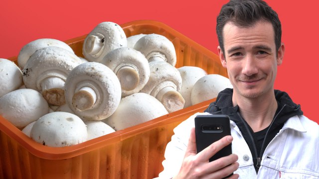 Pourquoi les champignons de Paris viennent-ils de Pologne ?