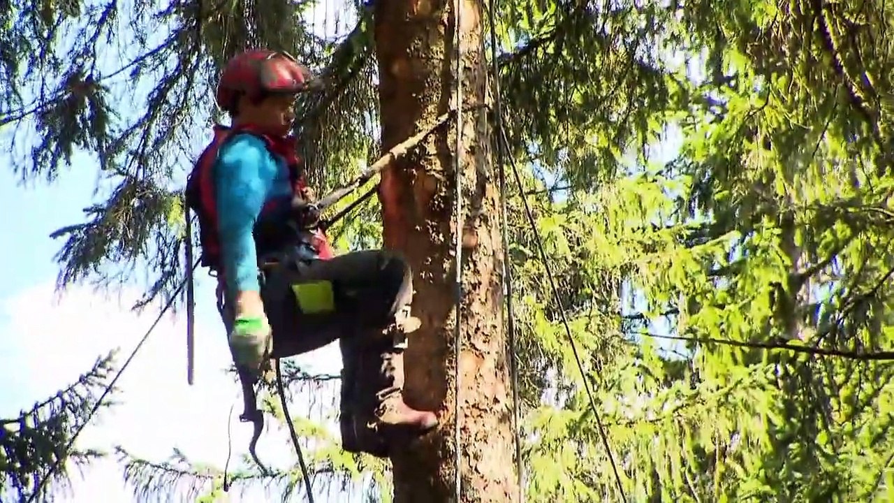 Deutschland 24-7 - Ohne uns läuft nichts! Staffel 1 Folge 18 HD Deutsch