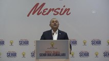 Çavuşoğlu: 