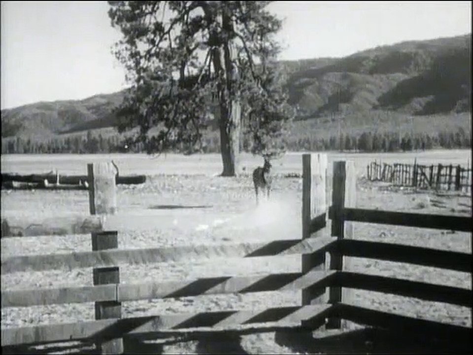 Fury - Die Broken Wheel Ranch