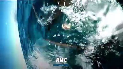 Retour à l'instinct primaire - 22 octobre