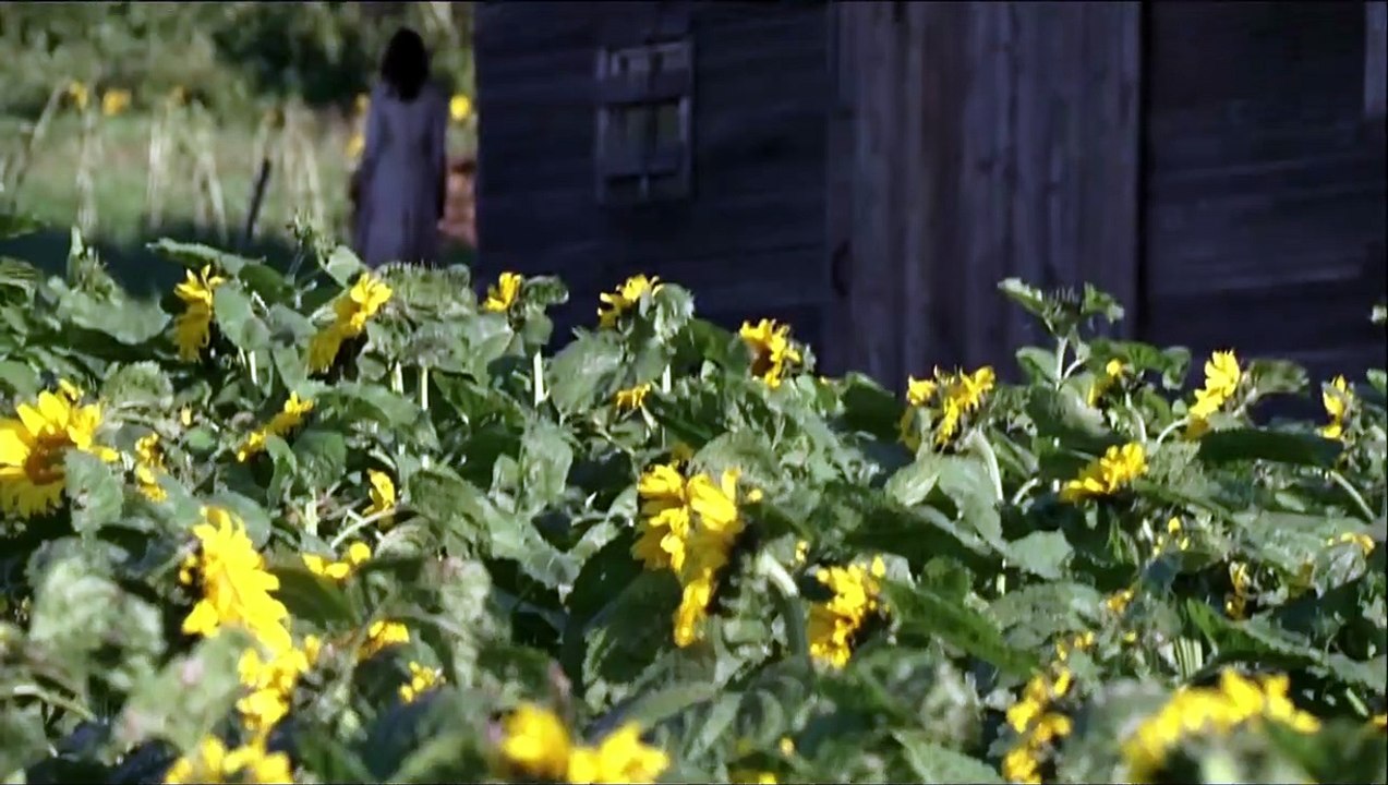 Les Messagers Bande-annonce (EN)