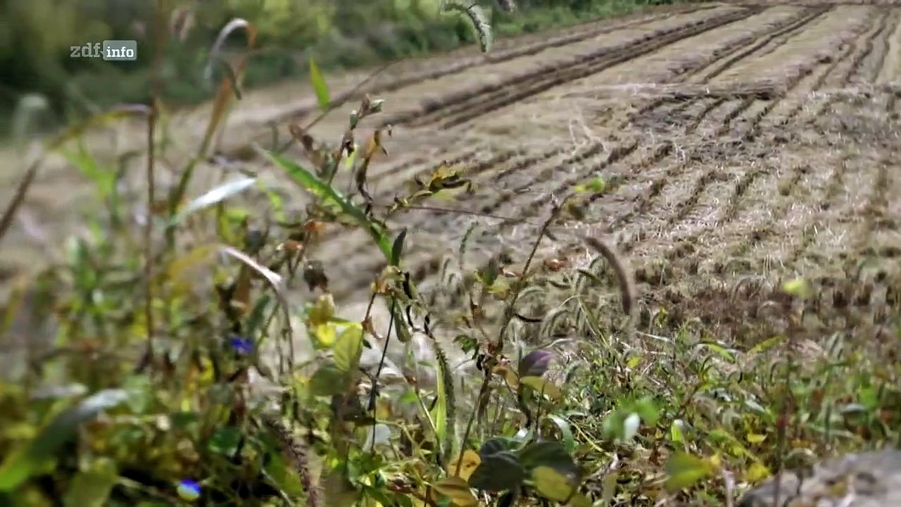 Bauplan des bösen staffel 1 folge 3 hd deutsch