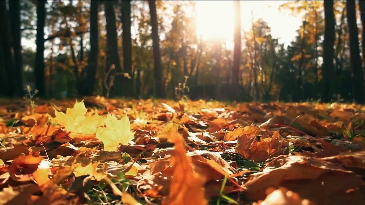 Begegnungen mit dem Bösen Staffel 1 Folge 1 HD Deutsch