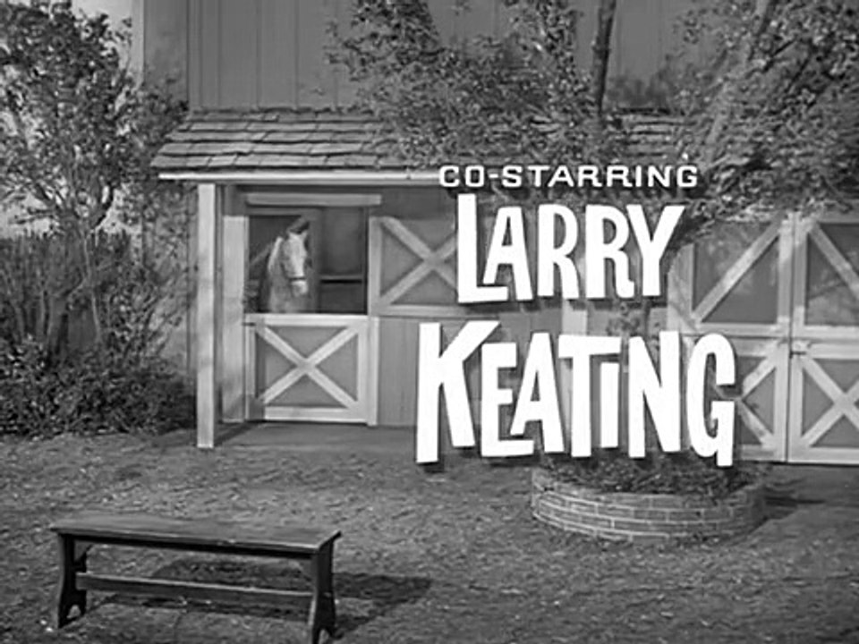 Mr. Ed Staffel 2 Folge 16 HD Deutsch