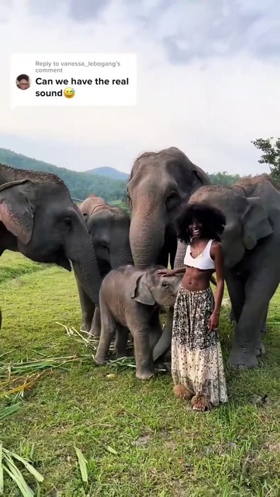 குட்டி யானைக்கு குசும்பு ஜாஸ்தி தான்... வயிறு குலுங்க சிரிக்க வைக்கும் வீடியோ!