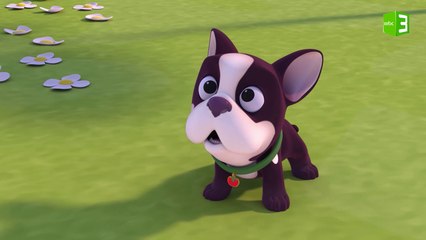 ماذا فعلت البالون بالجرو توميدو؟ 