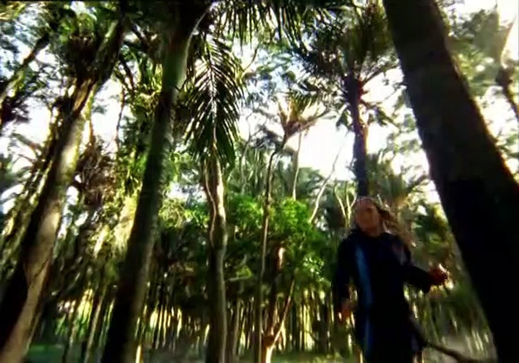 Power Rangers Ninja Storm Staffel 1 Folge 31 HD Deutsch