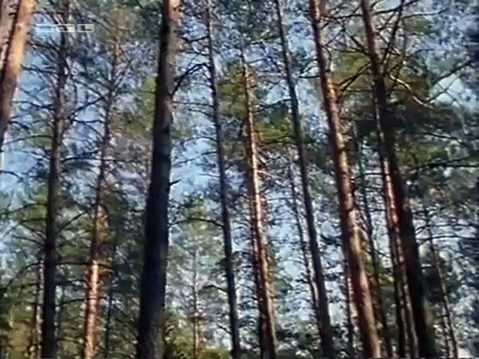 Robin Hood (1997) Staffel 3 Folge 9 HD Deutsch