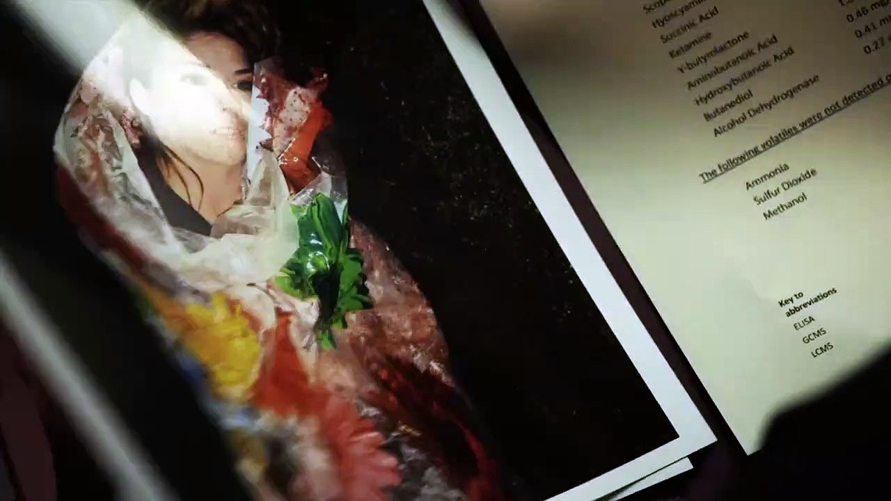 True Justice Staffel 1 Folge 6 - Part 02 HD Deutsch