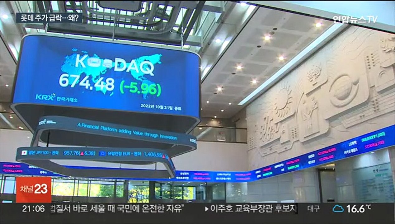 위기설 진화 나섰지만 롯데그룹 주가 추락