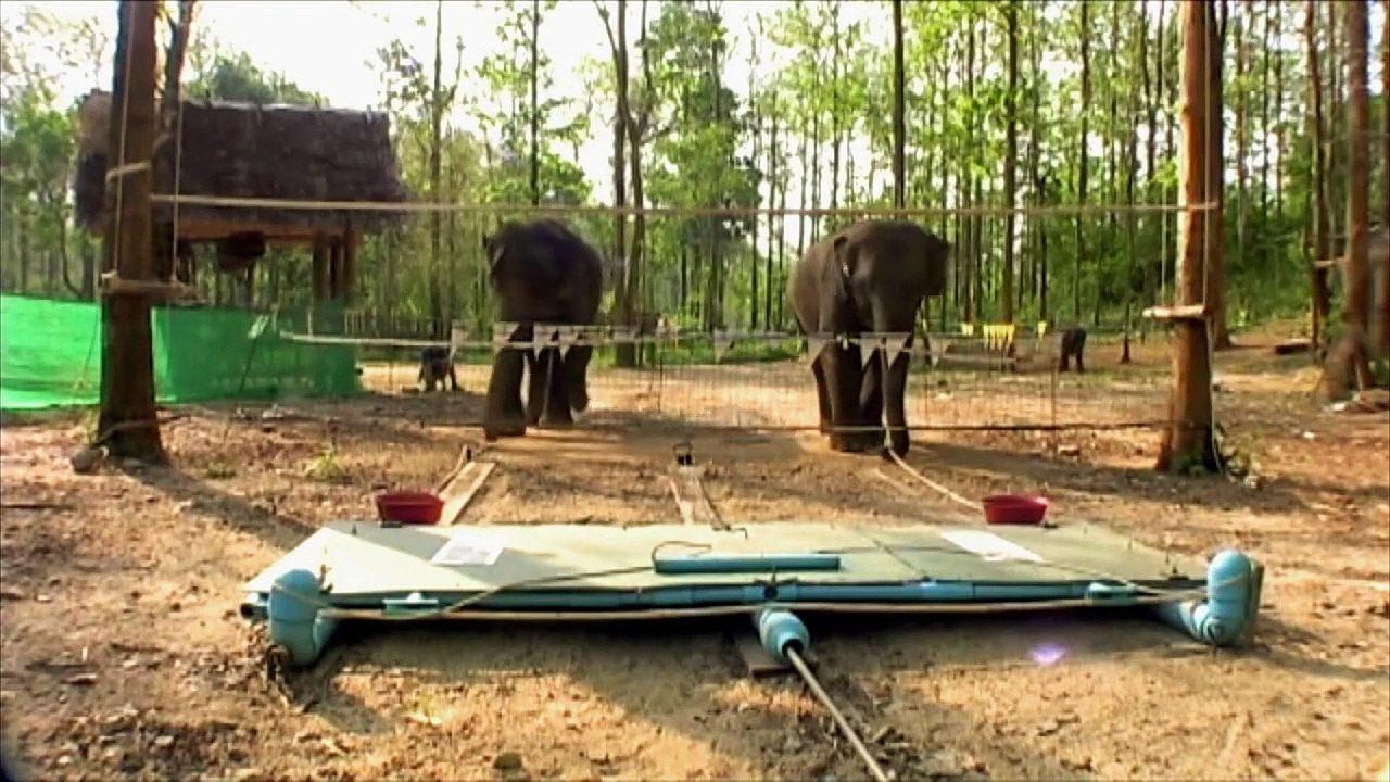 Morgan Freeman Mysterien des Weltalls Staffel 5 Folge 8 HD Deutsch