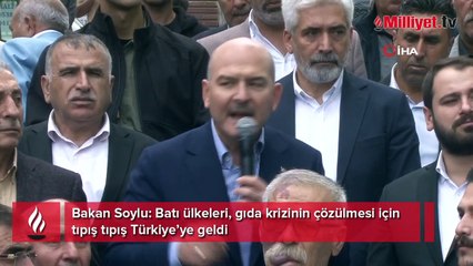 Bakan Soylu: Batı ülkeleri, gıda krizinin çözülmesi için tıpış tıpış Türkiye’ye geldi