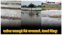 नाशिक जिल्ह्याला परतीच्या पावसाचा फटका, भरपाईची शेतकऱ्यांची मागणी | Nashik Rain