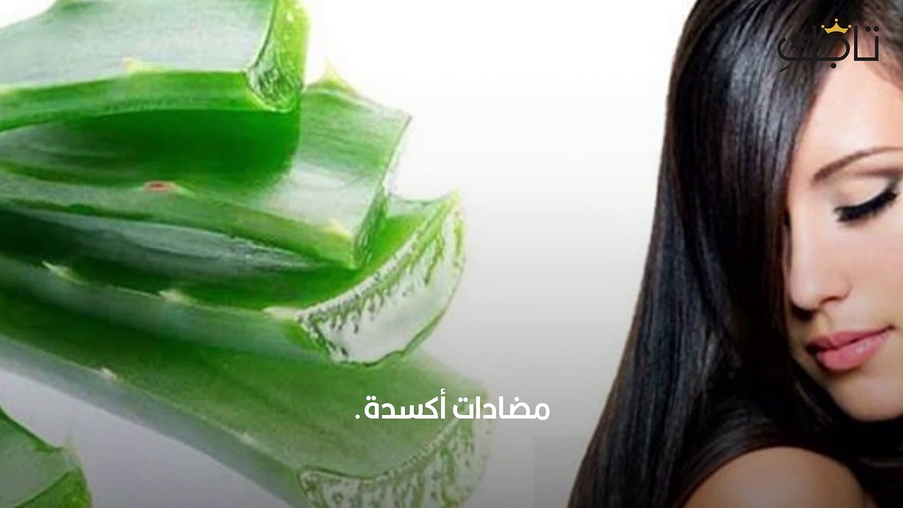 شامبو الصبار للشعر