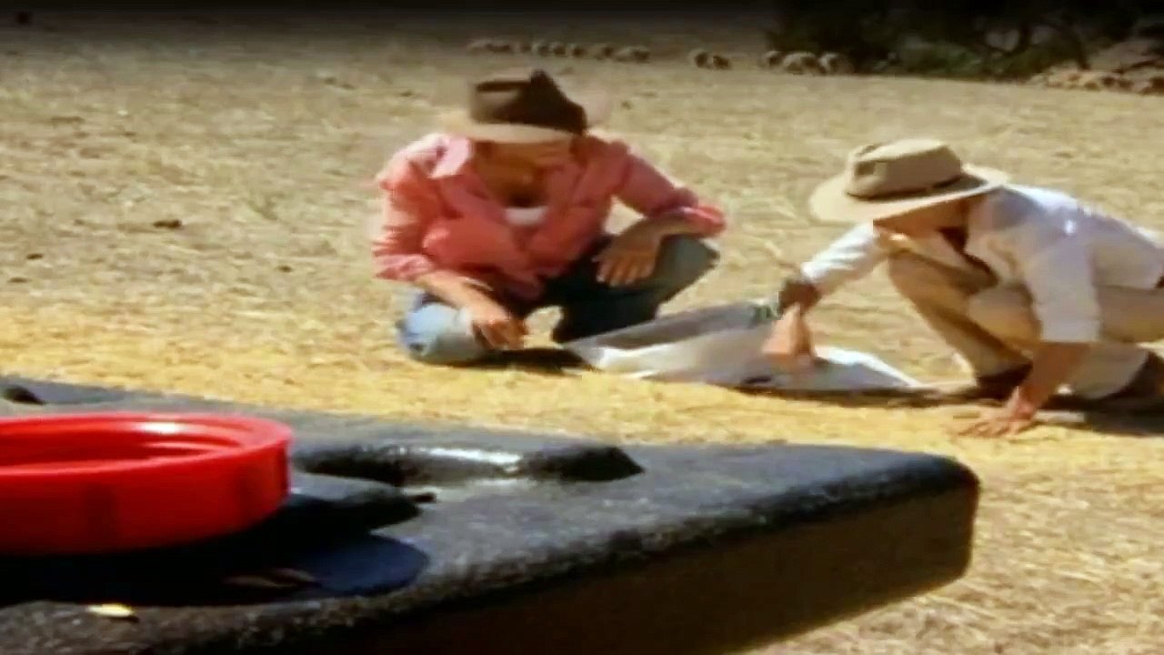 McLeods Töchter Staffel 5 Folge 20 HD Deutsch