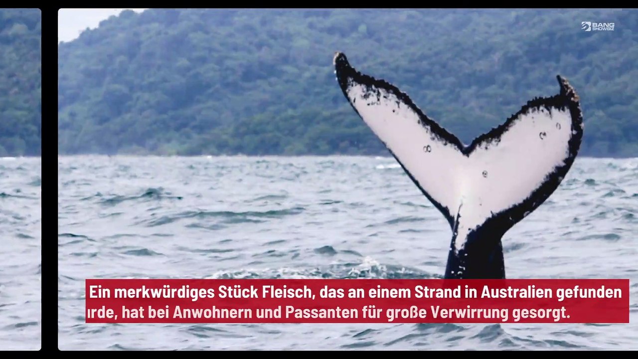 Australien: Riesiges Stück Fleisch am Strand sorgt für Verwirrung