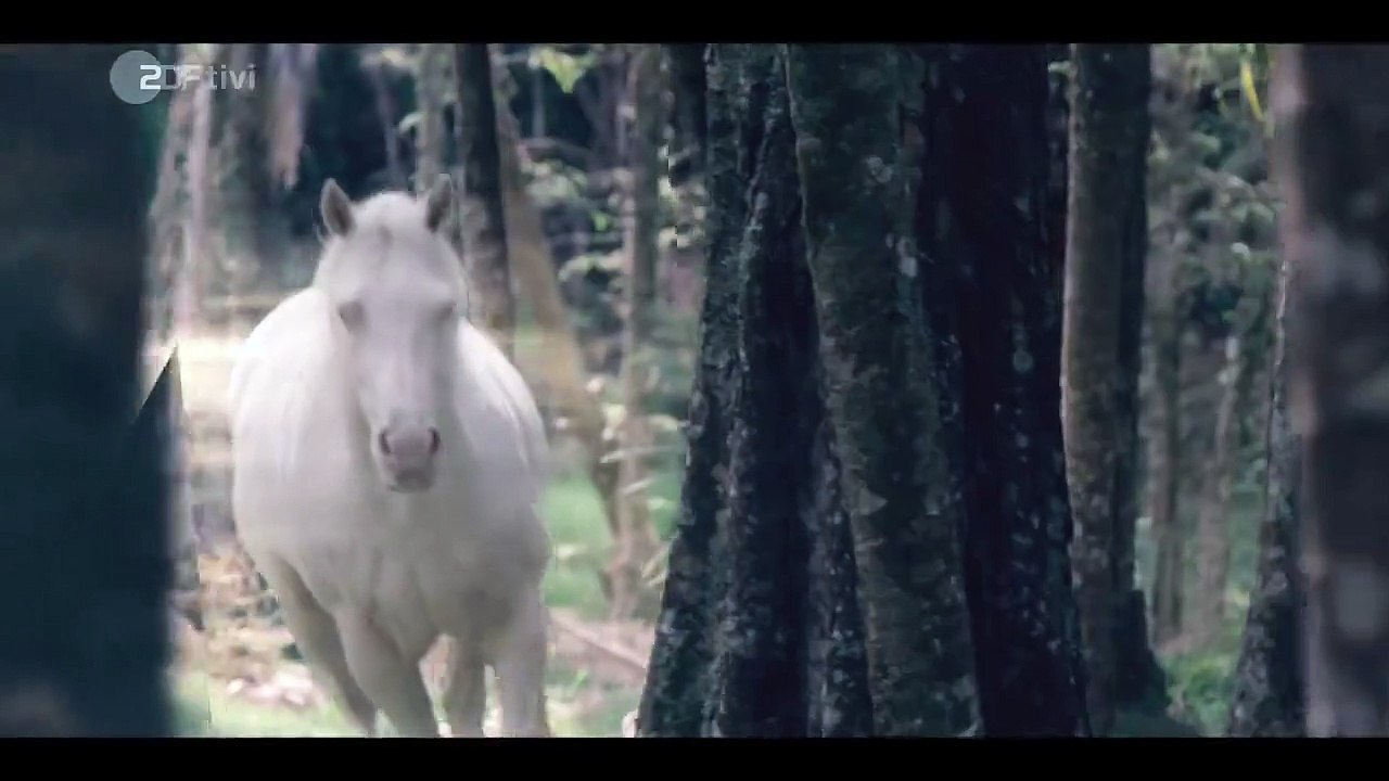 Mystic Staffel 1 Folge 8 HD Deutsch