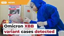 XBB variant cases detected in Malaysia, says KJ
