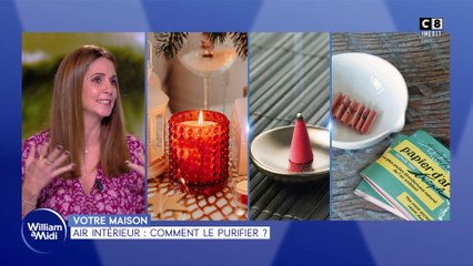 Votre maison : Air intérieur, comment le purifier ?