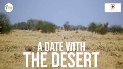 A Date With The Desert - Chalo Rajasthan