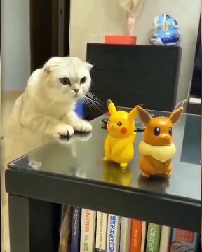 FUNNY CATS COMPILATION 2 / KUMPULAN KUCING-KUCING LUCU 2