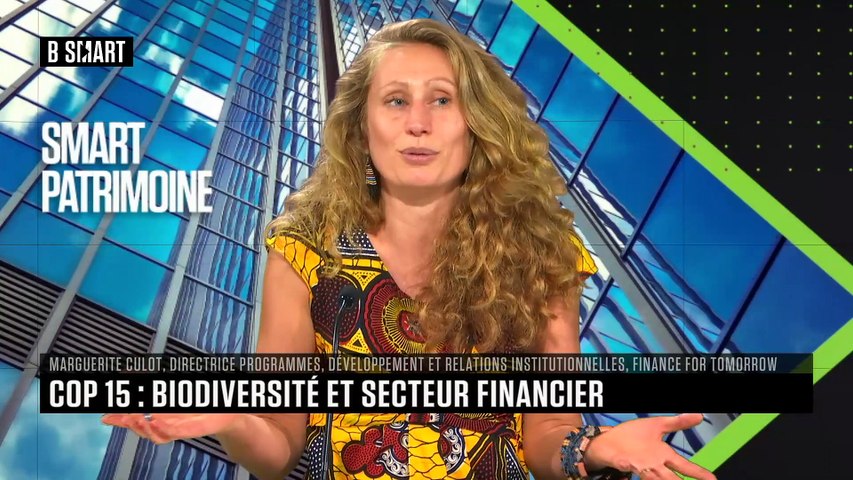 Patrimoine thématique du jeudi 27 octobre 2022