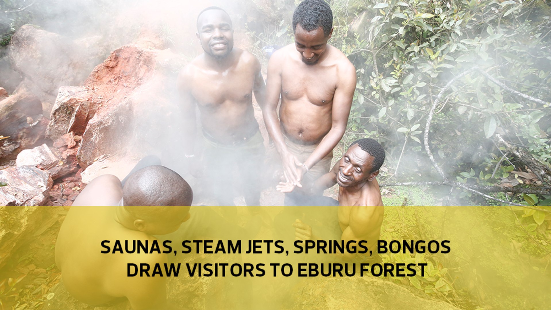 Saunas, steam jets, springs, Bongos draw visitors to Eburu forest - video  Dailymotion