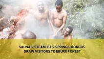 Saunas, steam jets, springs, Bongos draw visitors to Eburu forest