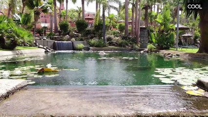 En plató con Isabel Alguacil, una de las paisajistas más reconocidas de España