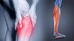 Leg Muscles Pain क्यों होता है | पैर की मांसपेशियों में दर्द होने का कारण | Boldsky *health