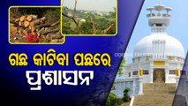 Dhauli beautification | Opposition, tourists condemn Odisha govt for felling over 3000 trees