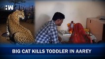 18 Month Old Killed In Leopard Attack| Aarey Colony Forest| Goregaon| Diwali| Toddler| Mumbai