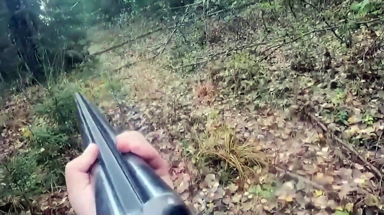 Quand le chasseur devient la proie