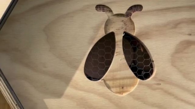 Acqua Panna a difesa delle api e della biodiversità