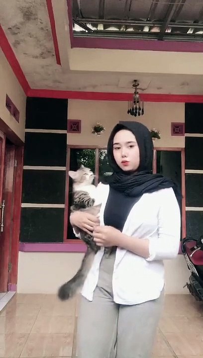 Kucing imut