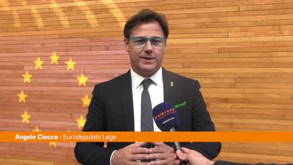 Lavoro, Ciocca "L'Europa si concentri sulle vere emergenze"