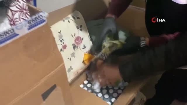 Son dakika haber! İstanbul merkezli 10 ilde sağlık yolsuzluğu operasyonunun detayları ortaya çıktı