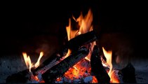 Relaxing camp fire sound | Sleeping Music | Relaxing music  | camp fire | burn fire sound | deep sleep sound | stress relief sound