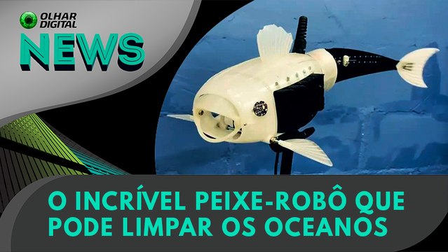 Ao Vivo | O incrível peixe-robô que pode limpar os oceanos | 21/10/2022 | #OlharDigital
