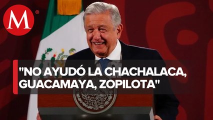 AMLO presume encuesta de aprobación entre líderes; "Nos ayudo la zopilota"