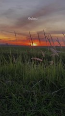 Cover musik kekasih bayangan