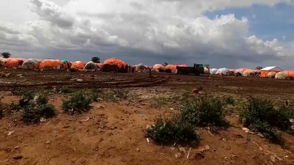 أكثر من 80% من سكان مدينة بيدوا الصومالية يعيشون فقرا مدقعا