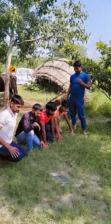 Funny video